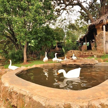 Naiberi River Campsite & Resort Eldoret Exteriör bild