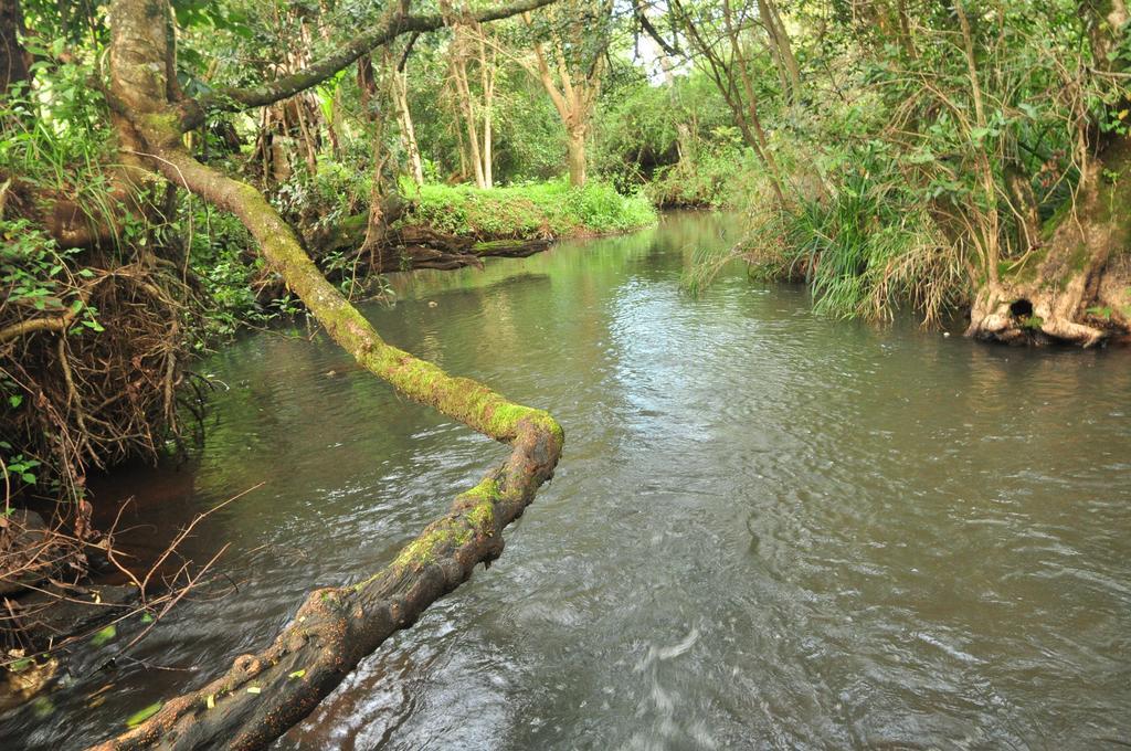Naiberi River Campsite & Resort Eldoret Exteriör bild